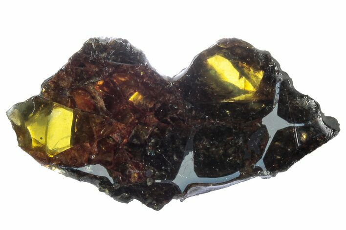 Polished Pallasite Meteorite ( g) Slice - NWA (Prov) #303848